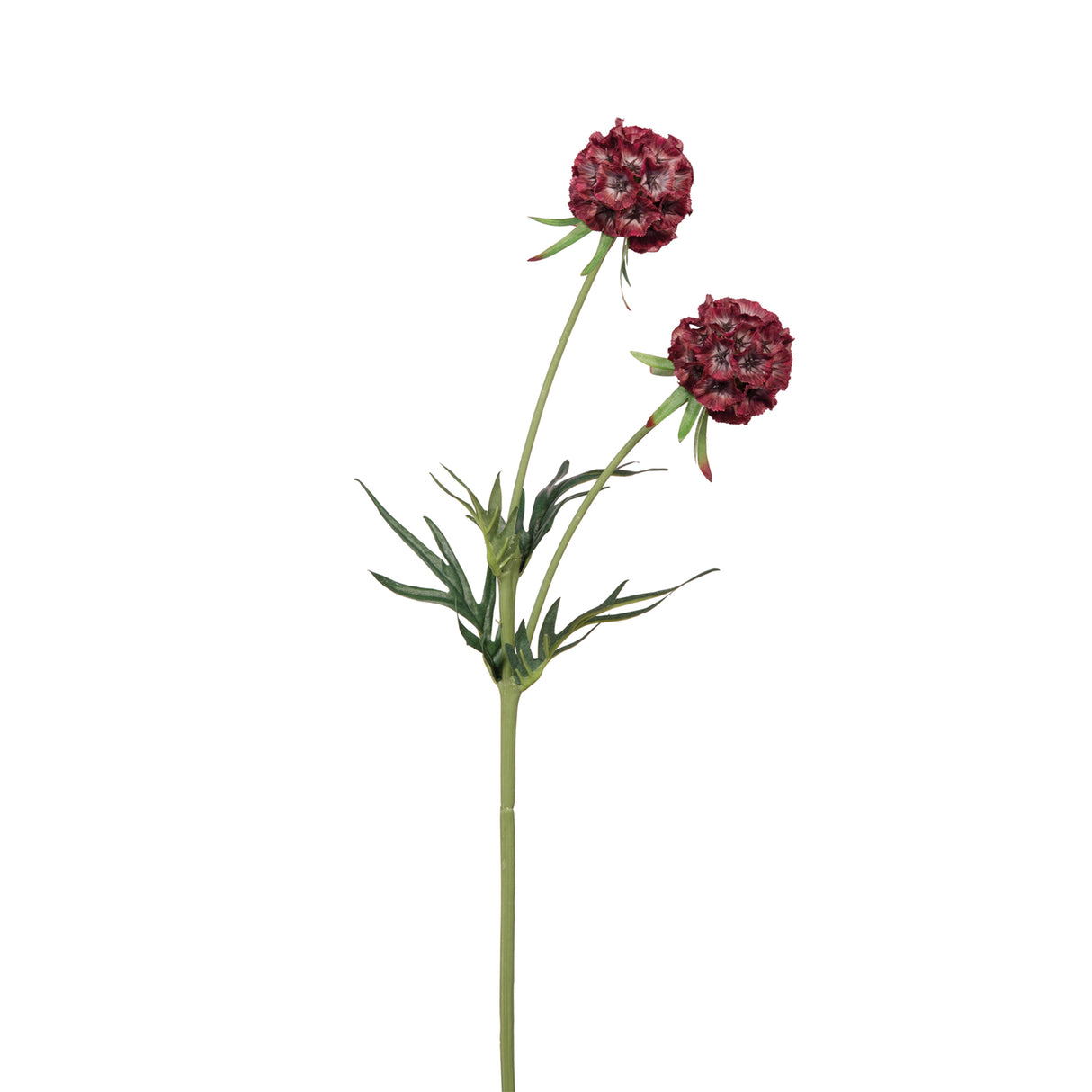 Fink Kunstblume Scabiosa dunkelrot Kunstfasern Höhe 55 cm